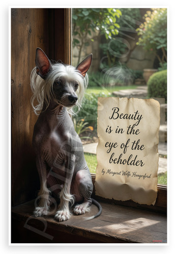 Beauty eye beholder quote - eye,