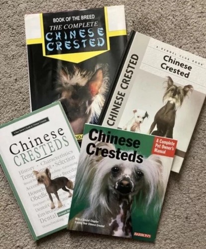 Chinese crested dog - crested, |