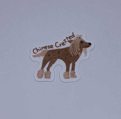 Chinese crested dog sticker - chinese,