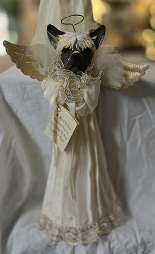 Chinese crested head - chinese,