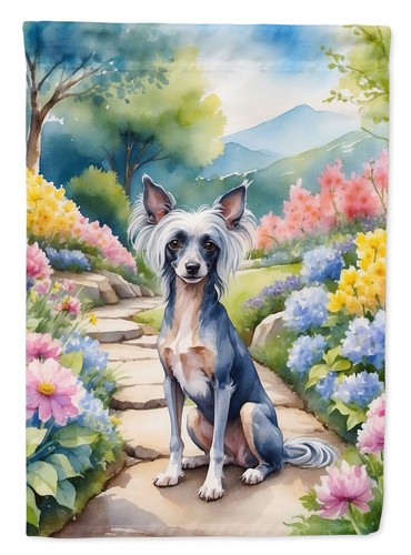 Chinese crested spring - spring, path