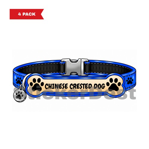Chinese crested dog - dog,
